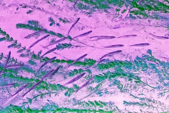 N 048B